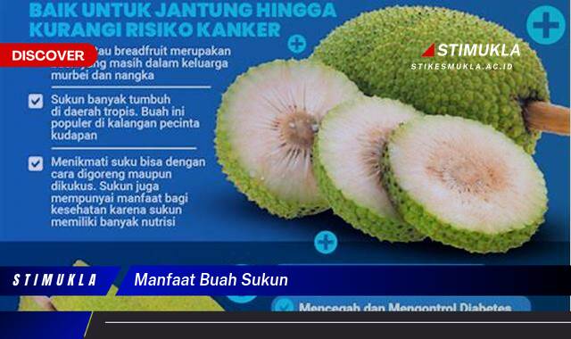 Ketahui 10 Manfaat Buah Sukun untuk Kesehatan, Kecantikan, dan Cara Mengolahnya Ketahui 10 Manfaat Buah Sukun untuk Kesehatan, Kecantikan, dan Cara Mengolahnya