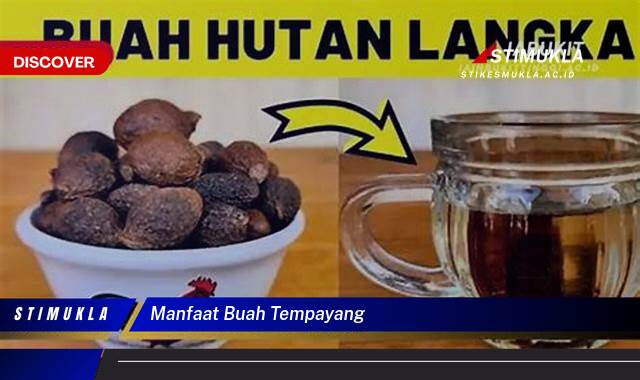 Ketahui 9 Manfaat Buah Tempayang untuk Kesehatan dan Kecantikan