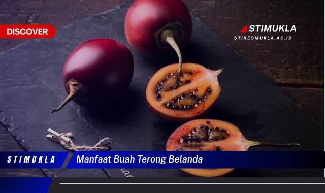 Ketahui 9 Manfaat Buah Terong Belanda untuk Kesehatan Tubuh Anda