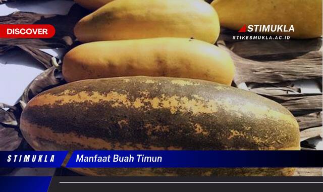 Ketahui 10 Manfaat Buah Timun untuk Kesehatan dan Kecantikan Anda Ketahui 10 Manfaat Buah Timun untuk Kesehatan dan Kecantikan Anda