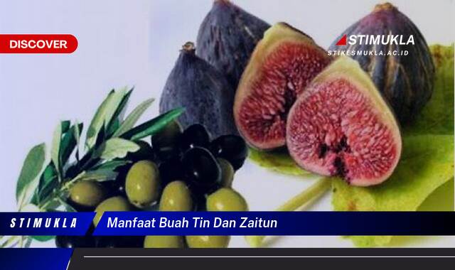 Temukan 10 Manfaat Buah Tin dan Zaitun untuk Kesehatan Anda