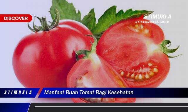 Ketahui 10 Manfaat Buah Tomat bagi Kesehatan, Panduan Lengkap dari Nutrisi hingga Tips Konsumsi Ketahui 10 Manfaat Buah Tomat bagi Kesehatan, Panduan Lengkap dari Nutrisi hingga Tips Konsumsi