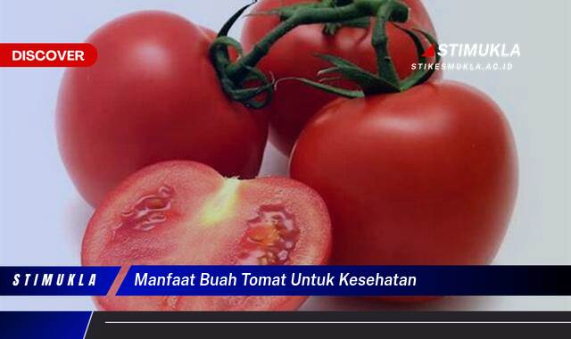Ketahui 10 Manfaat Buah Tomat untuk Kesehatan Tubuh Anda Secara Menyeluruh Ketahui 10 Manfaat Buah Tomat untuk Kesehatan Tubuh Anda Secara Menyeluruh