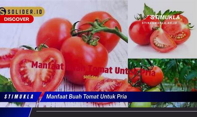 Inilah 8 Manfaat Buah Tomat untuk Pria, Kesehatan, Vitalitas, dan Kejantanan Inilah 8 Manfaat Buah Tomat untuk Pria, Kesehatan, Vitalitas, dan Kejantanan