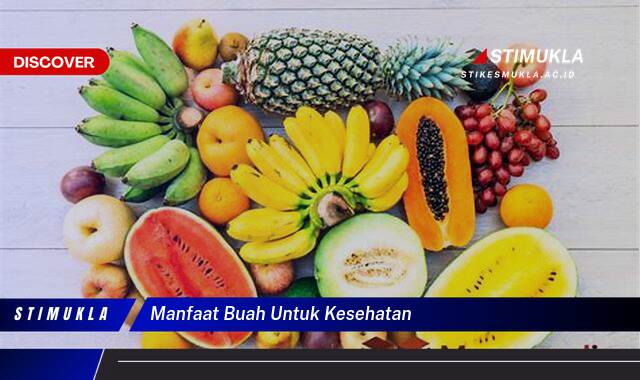 Ketahui 8 Manfaat Buah untuk Kesehatan Tubuh yang Luar Biasa