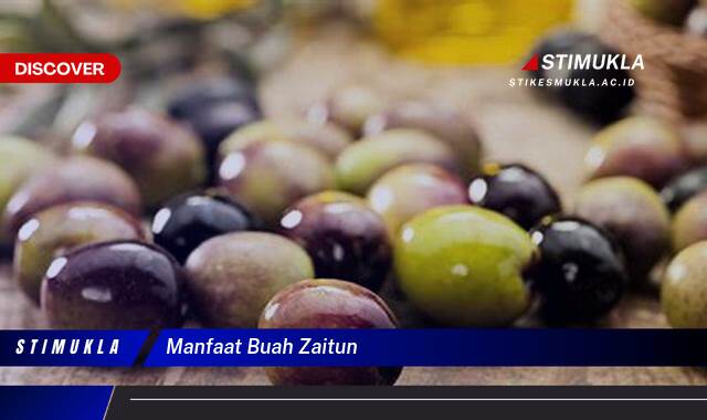 Ketahui 10 Manfaat Buah Zaitun untuk Kesehatan, Kecantikan, dan Diet Anda Ketahui 10 Manfaat Buah Zaitun untuk Kesehatan, Kecantikan, dan Diet Anda