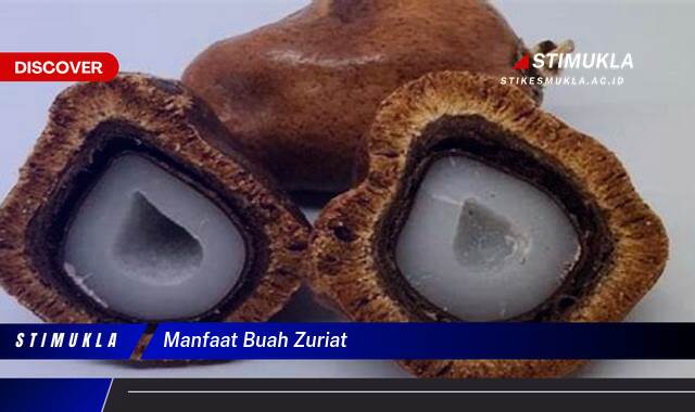 Ketahui 10 Manfaat Buah Zuriat untuk Promil dan Kesehatan Tubuh Anda Ketahui 10 Manfaat Buah Zuriat untuk Promil dan Kesehatan Tubuh Anda