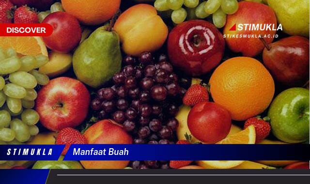 Ketahui 10 Manfaat Buah, Ragam Buah Kaya Nutrisi untuk Kesehatan Tubuh Anda Ketahui 10 Manfaat Buah, Ragam Buah Kaya Nutrisi untuk Kesehatan Tubuh Anda