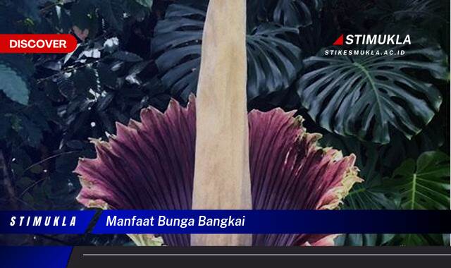 Ketahui 10 Manfaat Bunga Bangkai yang Langka dan Unik Bagi Ekosistem Ketahui 10 Manfaat Bunga Bangkai yang Langka dan Unik Bagi Ekosistem