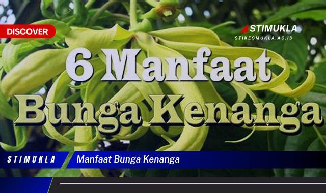 Ketahui 8 Manfaat Bunga Kenanga untuk Kesehatan, Kecantikan, dan Aromaterapi Ketahui 8 Manfaat Bunga Kenanga untuk Kesehatan, Kecantikan, dan Aromaterapi