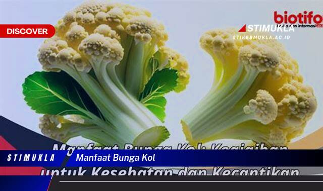 Ketahui 10 Manfaat Bunga Kol untuk Kesehatan, Dari Meningkatkan Imunitas Hingga Menjaga Kesehatan Jantung