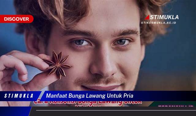 Temukan 10 Manfaat Bunga Lawang Untuk Pria, Tingkatkan Vitalitas & Stamina