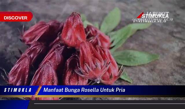 Ketahui 8 Manfaat Bunga Rosella untuk Kesehatan Pria secara Lengkap