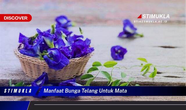 Ketahui 8 Manfaat Bunga Telang untuk Mata, Meningkatkan Kesehatan dan Penglihatan Anda Secara Alami Ketahui 8 Manfaat Bunga Telang untuk Mata, Meningkatkan Kesehatan dan Penglihatan Anda Secara Alami