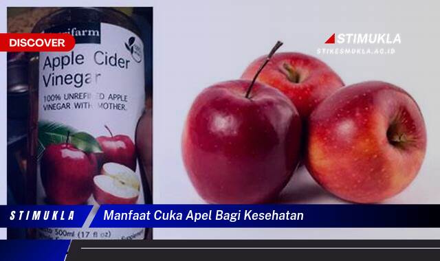 Ketahui 10 Manfaat Cuka Apel Bagi Kesehatan, Tips Praktis dan Efektif untuk Kesehatan Anda Ketahui 10 Manfaat Cuka Apel Bagi Kesehatan, Tips Praktis dan Efektif untuk Kesehatan Anda