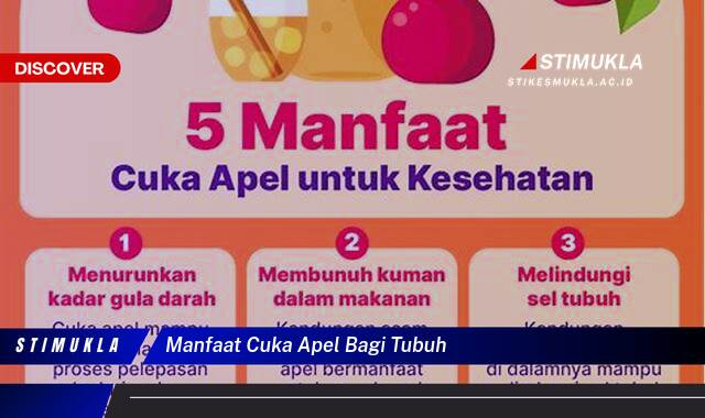 Inilah 10 Manfaat Cuka Apel Bagi Tubuh, Rahasia Kesehatan Alami