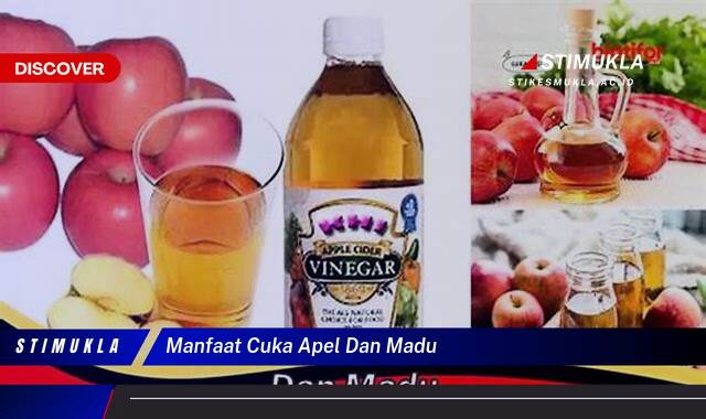 10 Manfaat manfaat cuka apel dan madu temukan khasiat alaminya yuk!