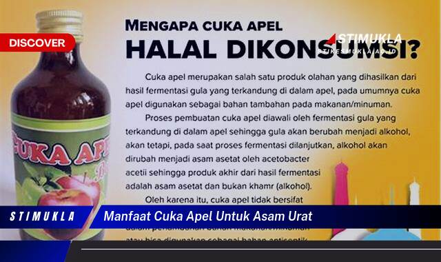 Ketahui 8 Manfaat Cuka Apel untuk Asam Urat, Meredakan Nyeri dan Peradangan Secara Alami Ketahui 8 Manfaat Cuka Apel untuk Asam Urat, Meredakan Nyeri dan Peradangan Secara Alami