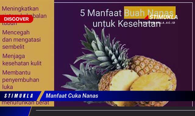 Ketahui 8 Manfaat Cuka Nanas untuk Kesehatan, Dari Pencernaan hingga Kekebalan Tubuh