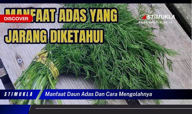 Temukan 9 Manfaat Daun Adas dan Cara Mengolahnya untuk Kesehatan Keluarga