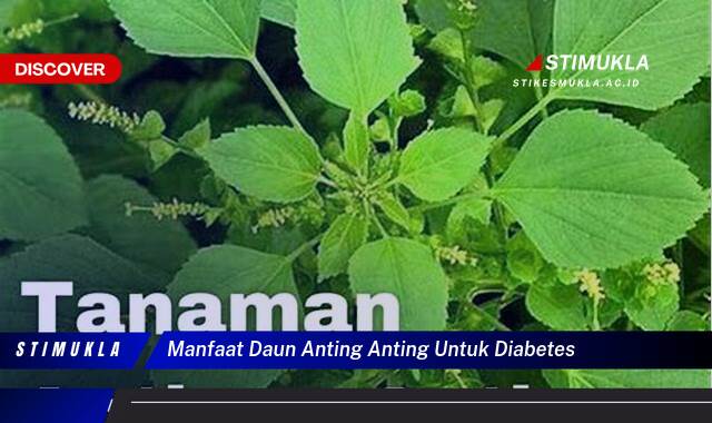 Temukan 10 Manfaat Daun Anting Anting untuk Diabetes, Kontrol Gula Darah Alami