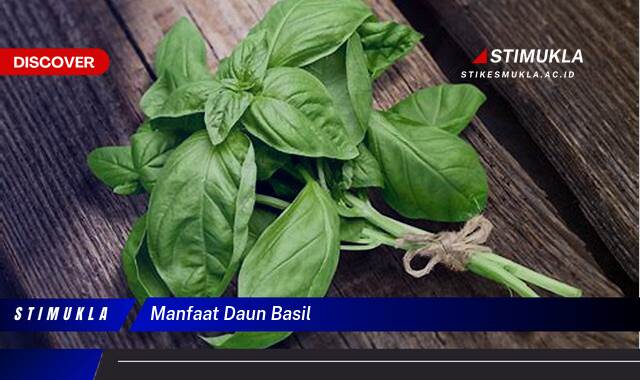 Ketahui 8 Manfaat Daun Basil untuk Kesehatan Tubuh Anda