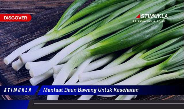 Ketahui 10 Manfaat Daun Bawang untuk Kesehatan Tubuh Anda Secara Lengkap