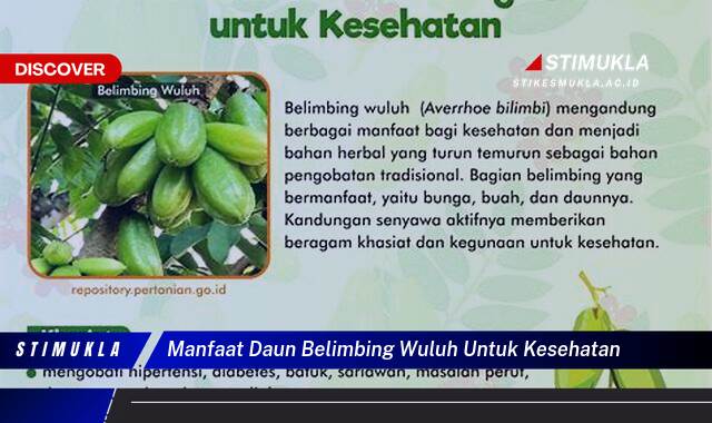 Ketahui 10 Manfaat Daun Belimbing Wuluh untuk Kesehatan,  Solusi Alami untuk Berbagai Penyakit