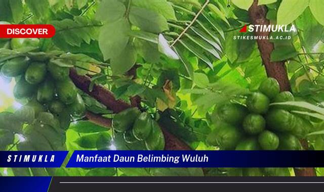 Ketahui 9 Manfaat Daun Belimbing Wuluh untuk Kesehatan Anda Ketahui 9 Manfaat Daun Belimbing Wuluh untuk Kesehatan Anda