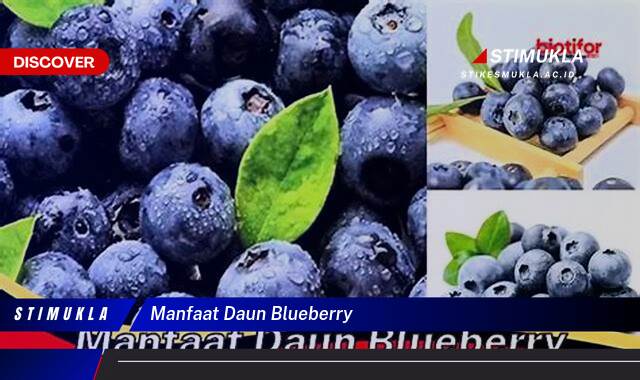 9 Manfaat Daun Blueberry Temukan Khasiat Tersembunyi
