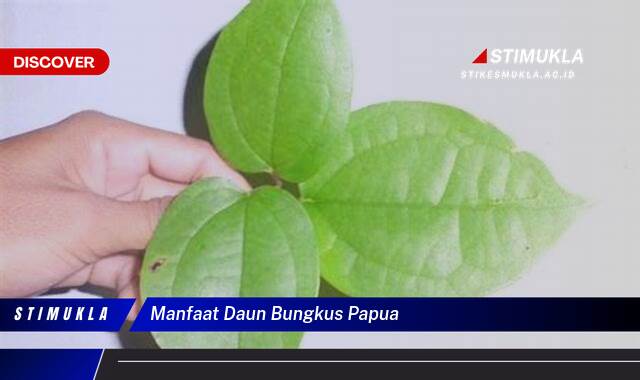 Ketahui 9 Manfaat Daun Bungkus Papua untuk Kesehatan dan Tradisi