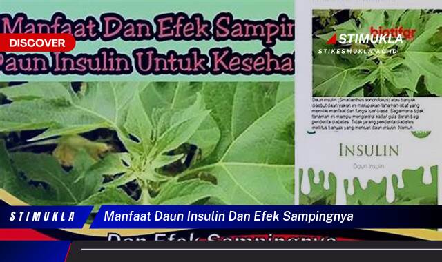 Inilah 10 Manfaat Daun Insulin dan Efek Sampingnya untuk Kesehatan