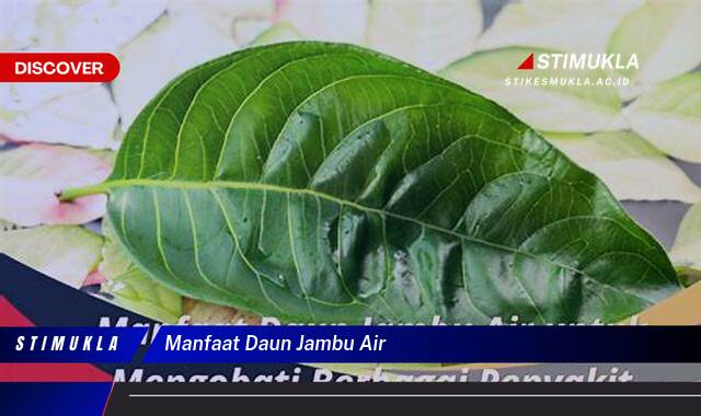 Ketahui 8 Manfaat Daun Jambu Air untuk Kesehatan Tubuh Anda