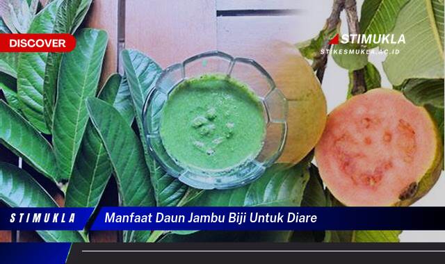 Temukan 10 Manfaat Daun Jambu Biji untuk Diare, Redakan Gejala Secara Alami