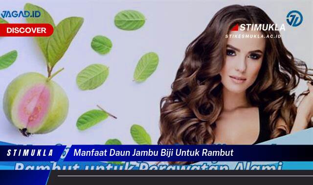 Ketahui 10 Manfaat Daun Jambu Biji untuk Mengatasi Rambut Rontok, Ketombe, dan Masalah Lainnya