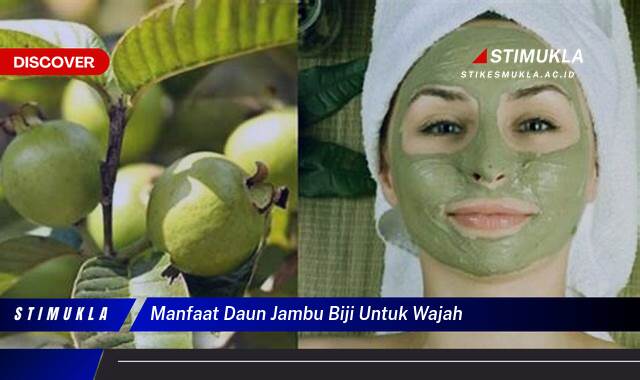 Ketahui 9 Manfaat Daun Jambu Biji untuk Wajah, Atasi Jerawat dan Raih Kulit Cerah Berseri Ketahui 9 Manfaat Daun Jambu Biji untuk Wajah, Atasi Jerawat dan Raih Kulit Cerah Berseri
