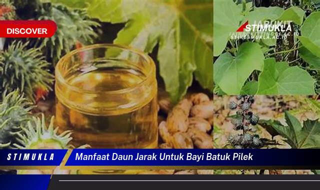 Ketahui 8 Manfaat Daun Jarak untuk Meredakan Batuk Pilek pada Bayi Secara Alami