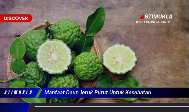 Ketahui 8 Manfaat Daun Jeruk Purut untuk Kesehatan Tubuh dan Rambut Anda