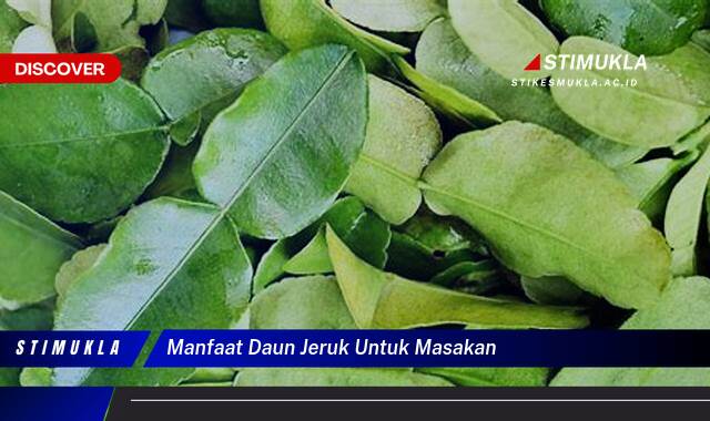 9 Manfaat Daun Jeruk Untuk Masakan, Aroma Sedap, Rasa Nikmat