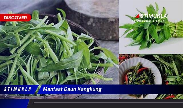 Ketahui 8 Manfaat Daun Kangkung untuk Kesehatan Anda