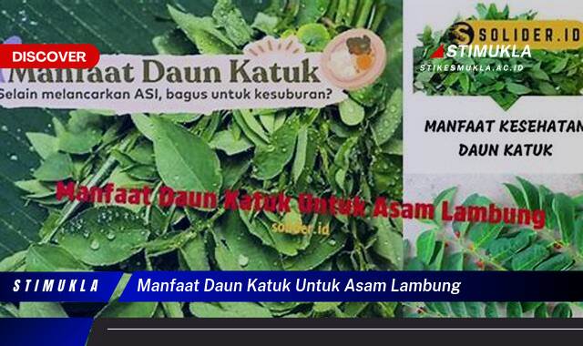 Ketahui 10 Manfaat Daun Katuk untuk Asam Lambung, Redakan Maag Secara Alami