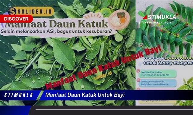 Ketahui 9 Manfaat Daun Katuk Untuk Bayi dan Pertumbuhannya