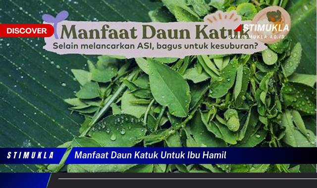 Ketahui 10 Manfaat Daun Katuk untuk Ibu Hamil, Meningkatkan Produksi ASI dan Nutrisi Bayi