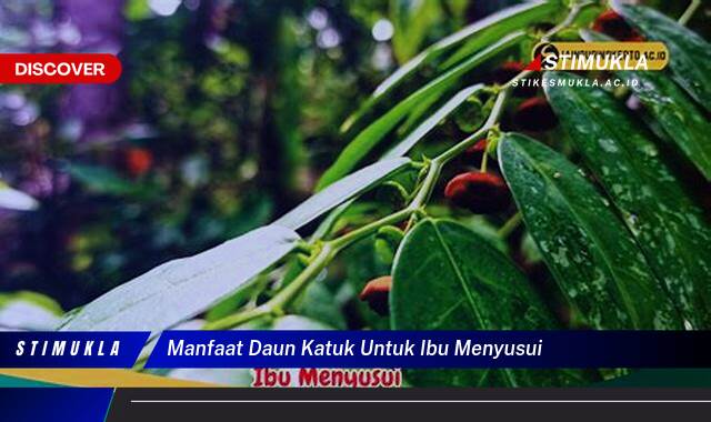 Ketahui 10 Manfaat Daun Katuk untuk Ibu Menyusui, Meningkatkan Produksi ASI dan Kebaikan Lainnya