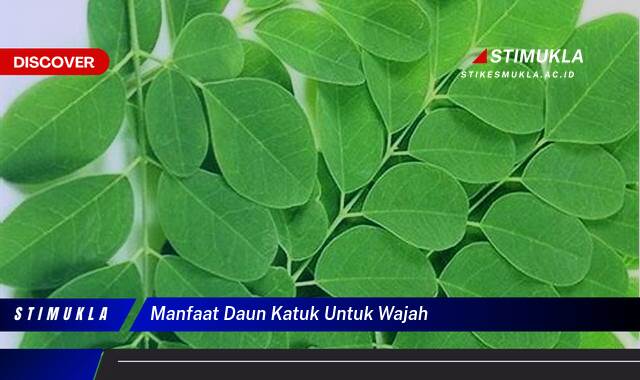 Temukan 9 Manfaat Daun Katuk untuk Wajah Cerah, Sehat dan Berseri Alami Temukan 9 Manfaat Daun Katuk untuk Wajah Cerah, Sehat dan Berseri Alami