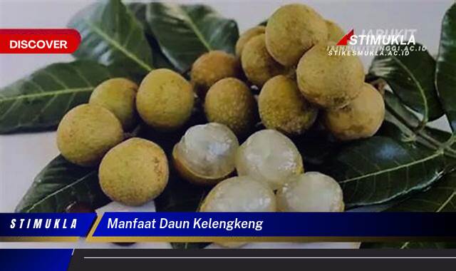 Ketahui 9 Manfaat Daun Kelengkeng untuk Kesehatan Anda