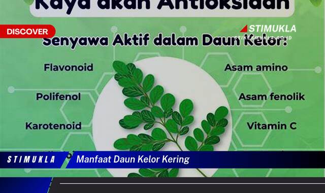 Ketahui 10 Manfaat Daun Kelor Kering untuk Kesehatan dan Kecantikan Anda