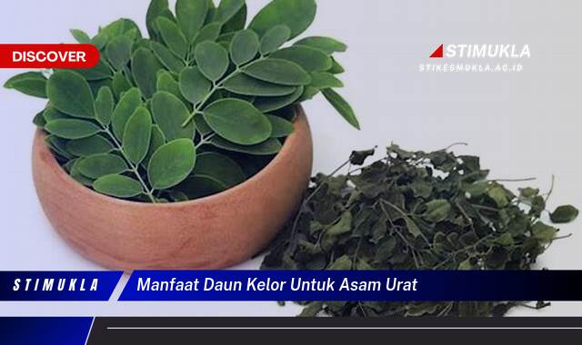 Ketahui 9 Manfaat Daun Kelor untuk Asam Urat, Redakan Nyeri dan Peradangan Secara Alami