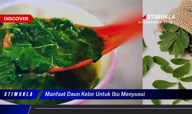 Ketahui 7 Manfaat Daun Kelor untuk Ibu Menyusui dan Cara Mengolahnya