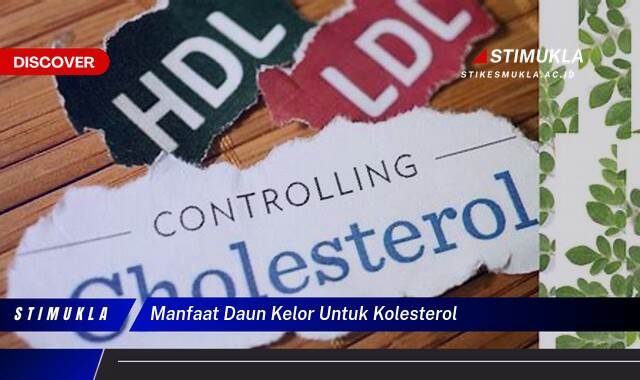 Inilah 9 Manfaat Daun Kelor untuk Kolesterol, Turunkan Kadar Jahat Secara Alami